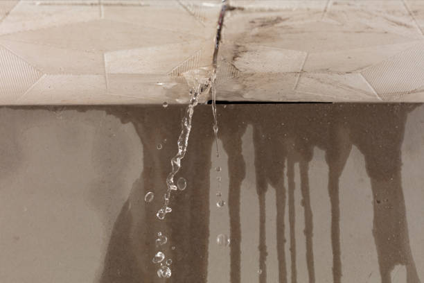 Professional Burst Pipe Cleanup technician working in Auburn, IL